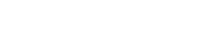 AVS_Main_White_no-secondary